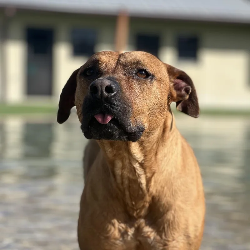 Princess thumbnail 3