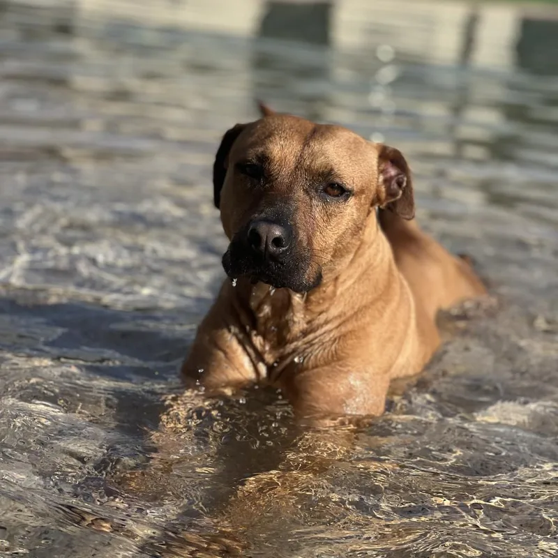 Princess thumbnail 4