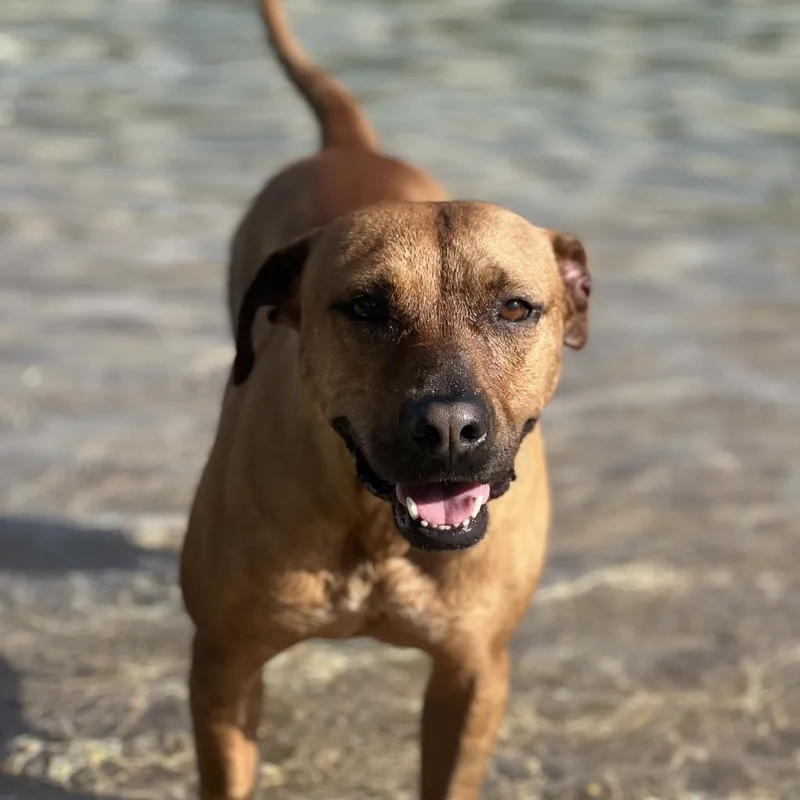 Princess thumbnail 5