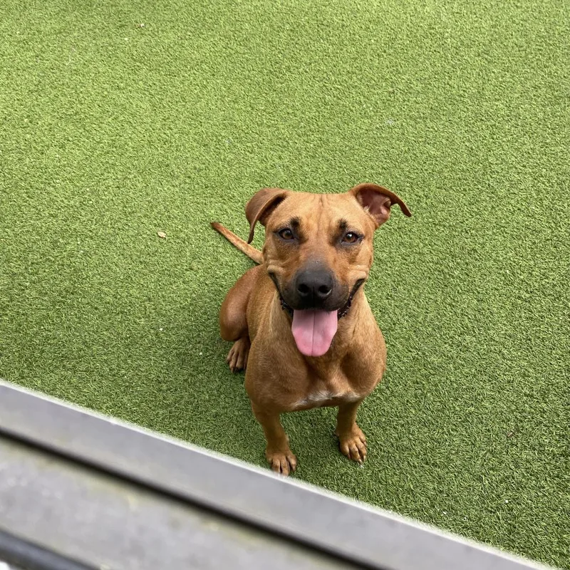 Princess thumbnail 6