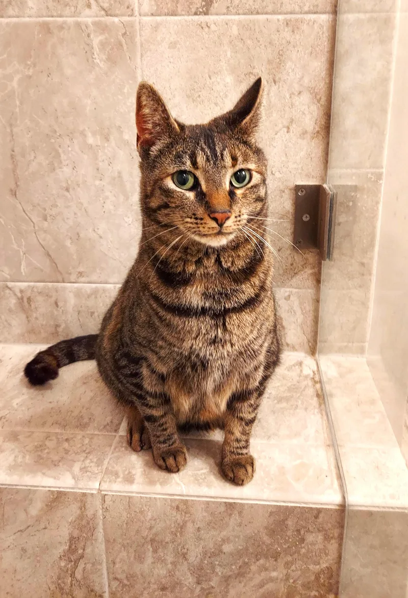 Meet "precious"  The thumbnail 2