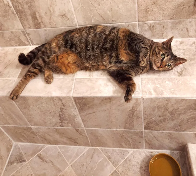 Meet "precious"  The