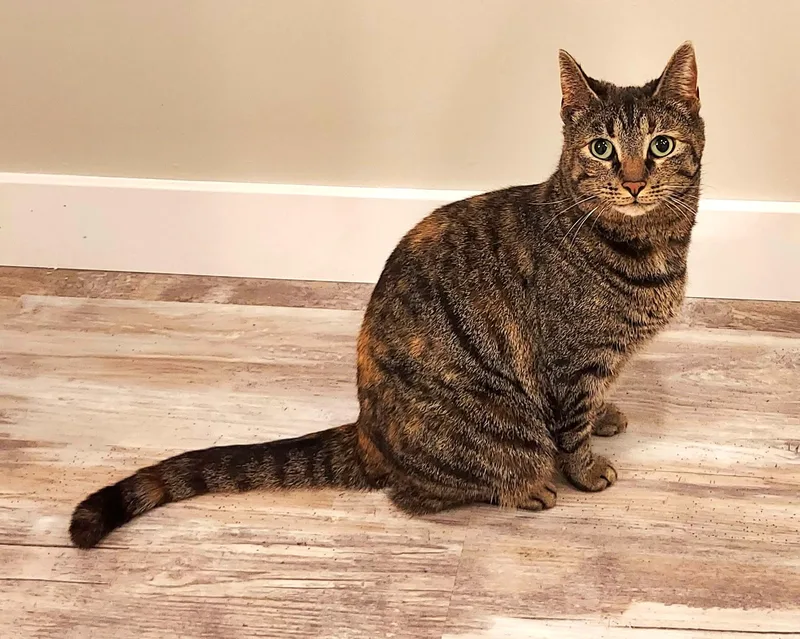 Meet "precious"  The thumbnail 3