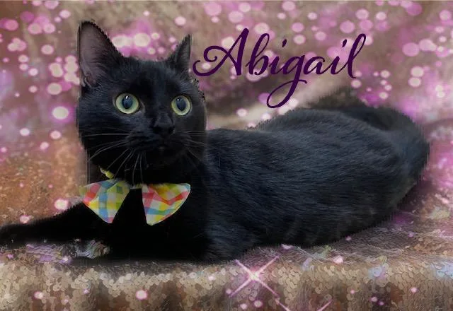 Abigail