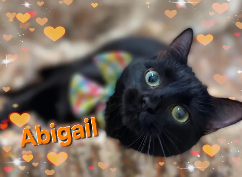 Abigail thumbnail 2