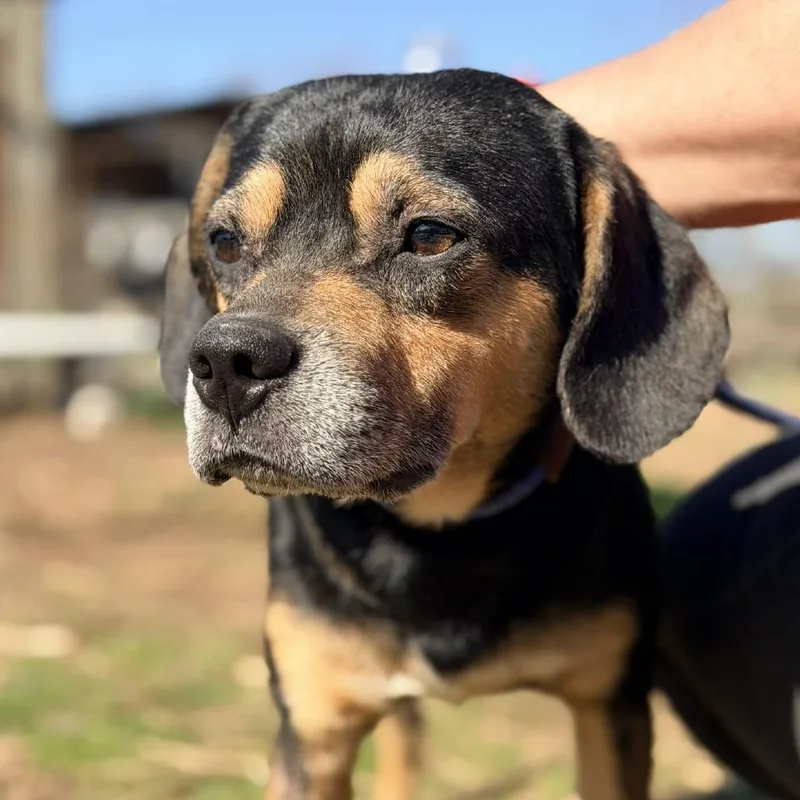 Big Sean thumbnail 3