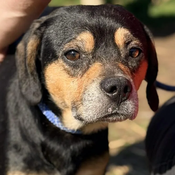 Big Sean thumbnail 4