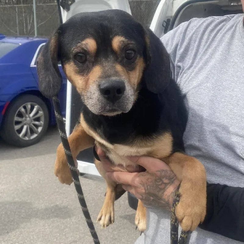 Big Sean thumbnail 5