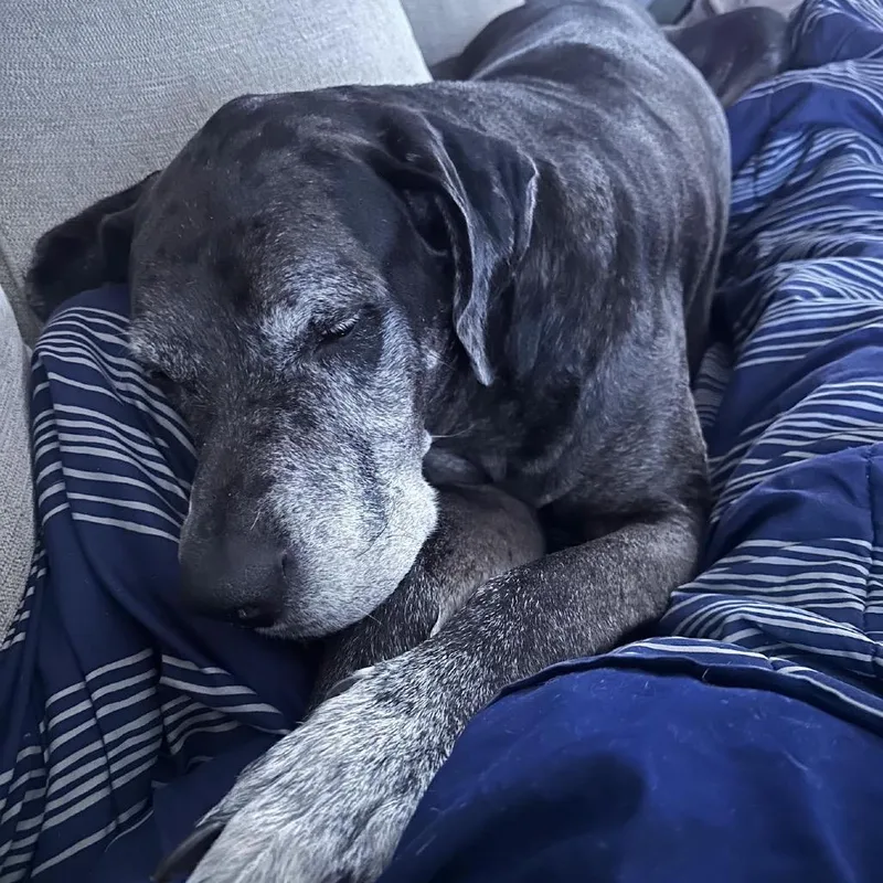 Zeus