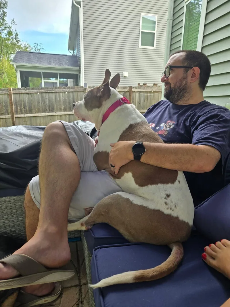 Rosie thumbnail 3