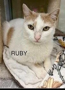 Ruby