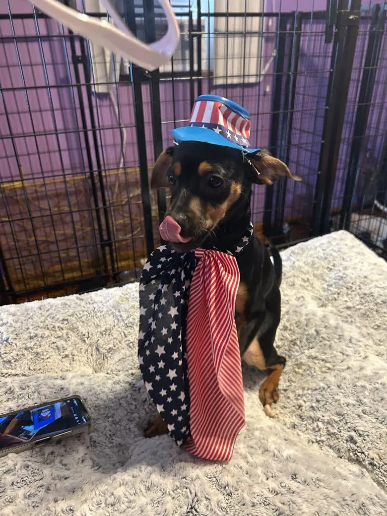 Sweet Pea thumbnail 3