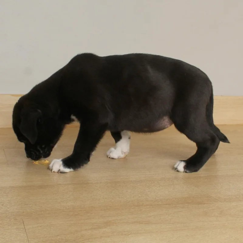 Bubbles D thumbnail 2