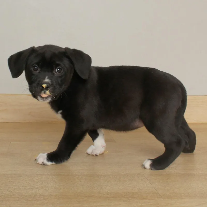 Bubbles D thumbnail 4