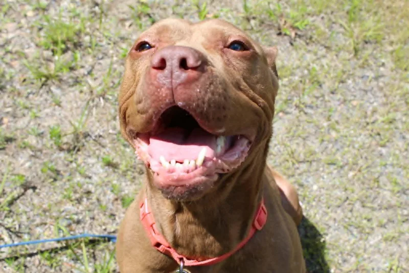 Delilah thumbnail 3