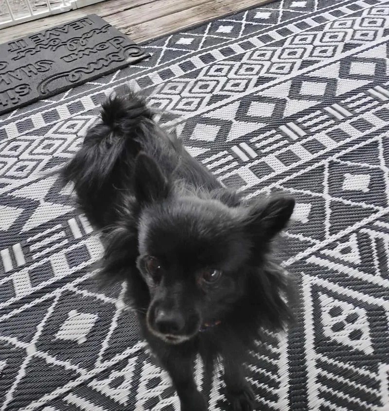 Valentine thumbnail 6