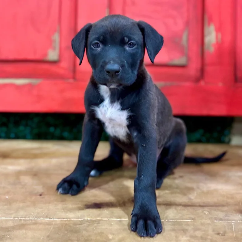 Fwt Mila thumbnail 2