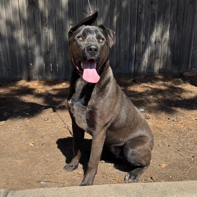 Fwt Mila thumbnail 3