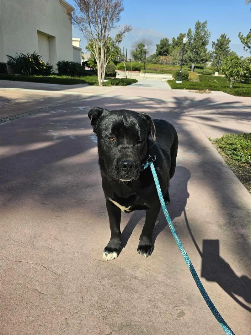 Moto Moto thumbnail 2