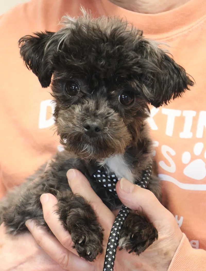 Chloe Marie thumbnail 2