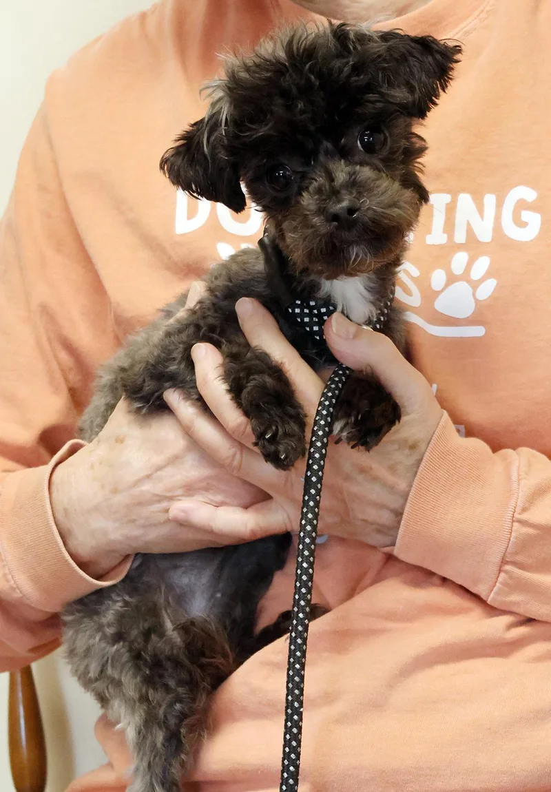 Chloe Marie thumbnail 3