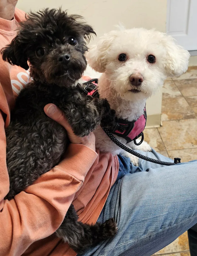 Chloe Marie thumbnail 4