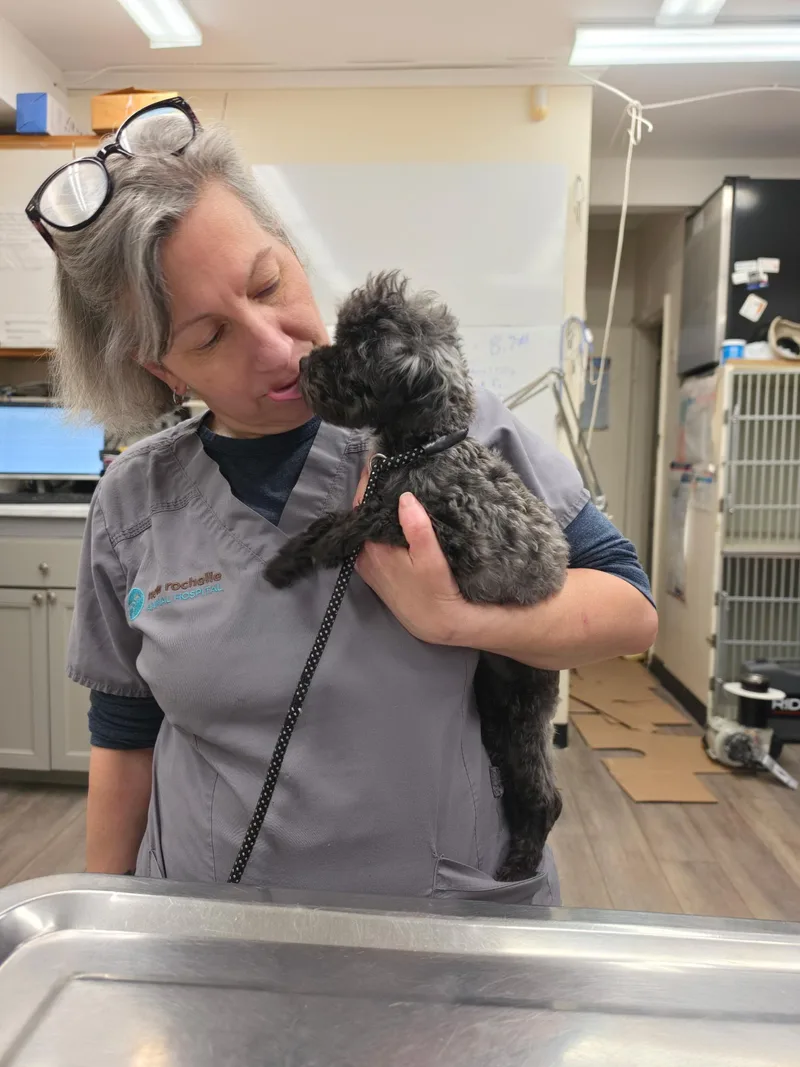 Chloe Marie thumbnail 5