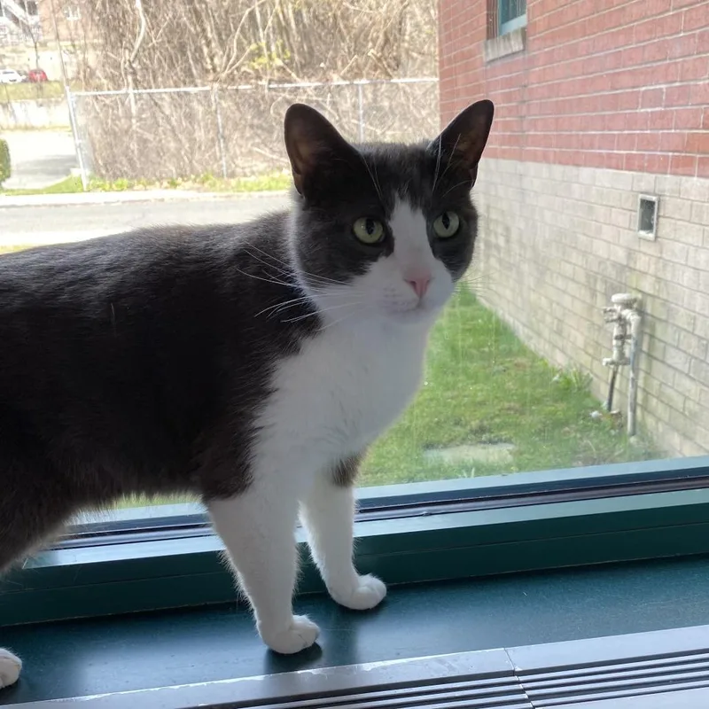 Clyde Wbonnie  For thumbnail 6