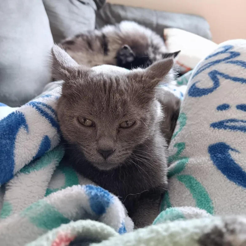 Emma Lou thumbnail 3