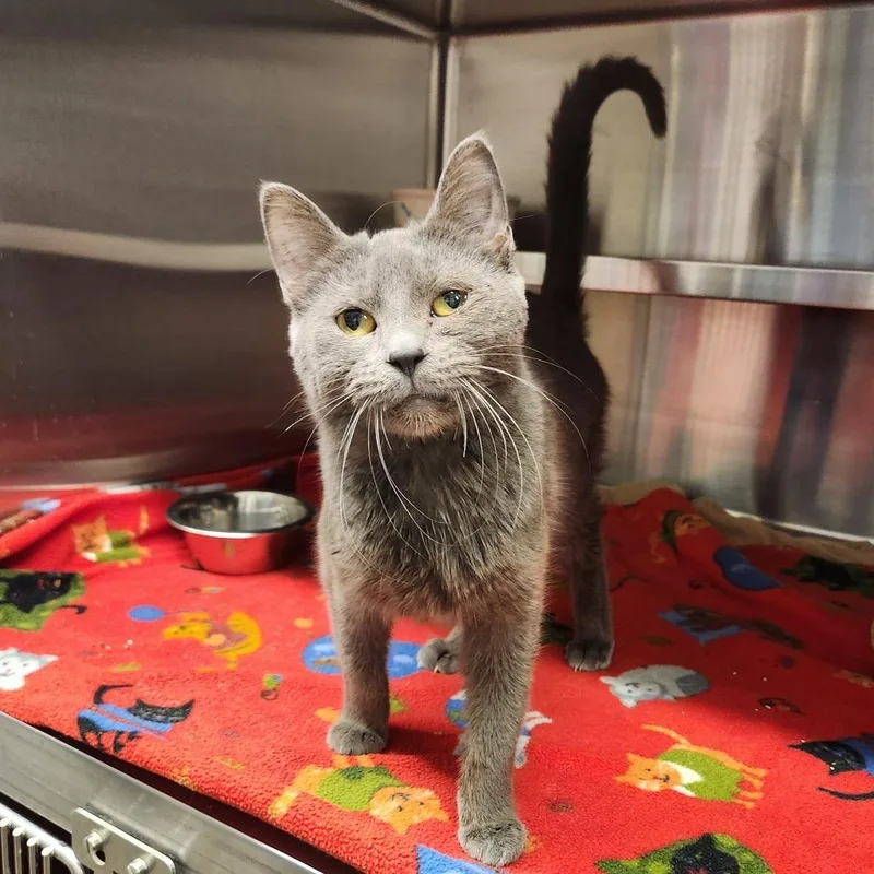 Emma Lou thumbnail 4