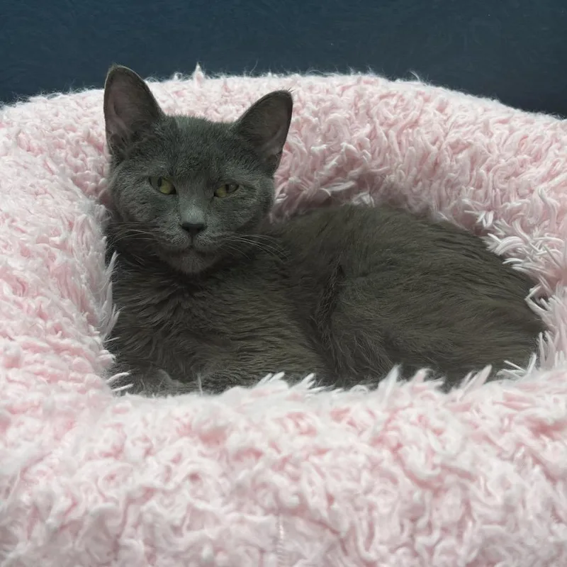 Emma Lou thumbnail 5