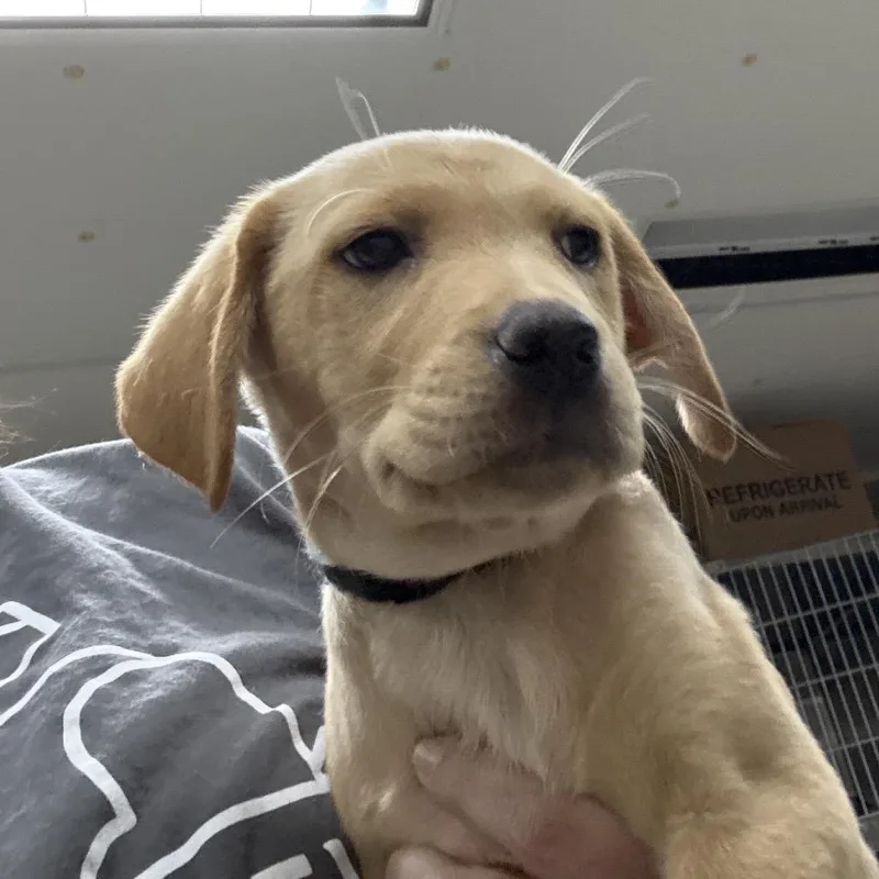 Ct Paperclip thumbnail 2