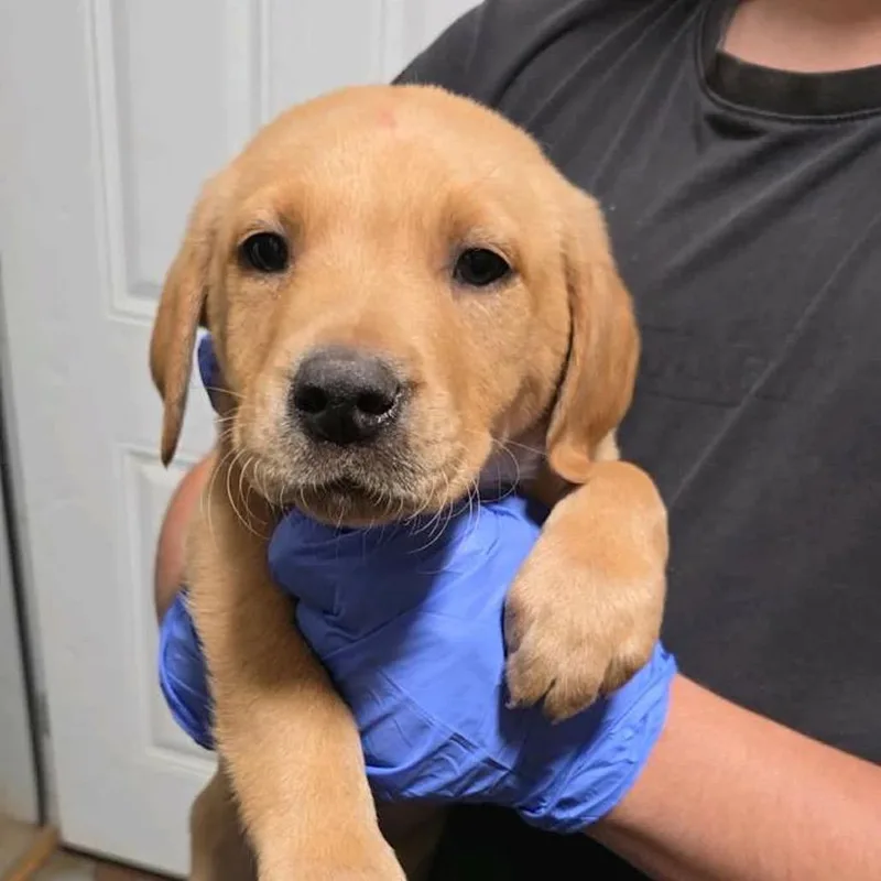 Ct Paperclip thumbnail 3