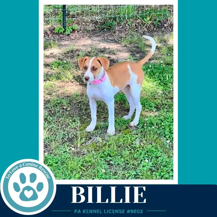 Billie thumbnail 3