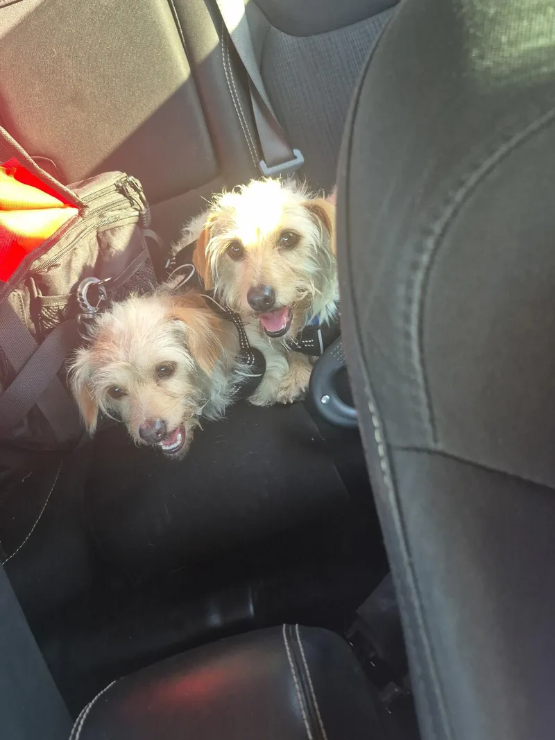 Larry And Darrell thumbnail 2