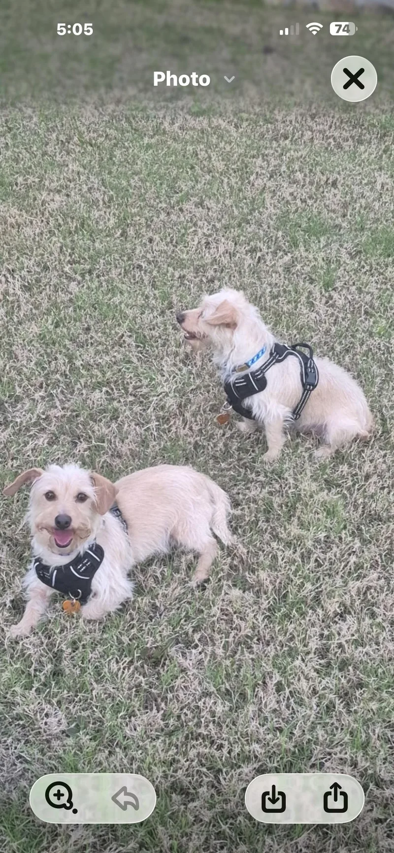 Larry And Darrell thumbnail 3