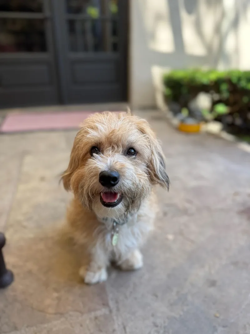 Crouton thumbnail 3