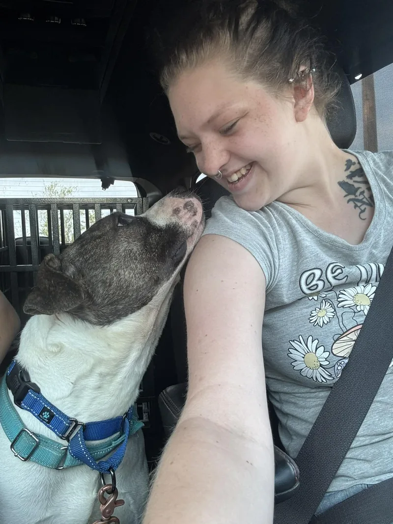 Valentino thumbnail 5