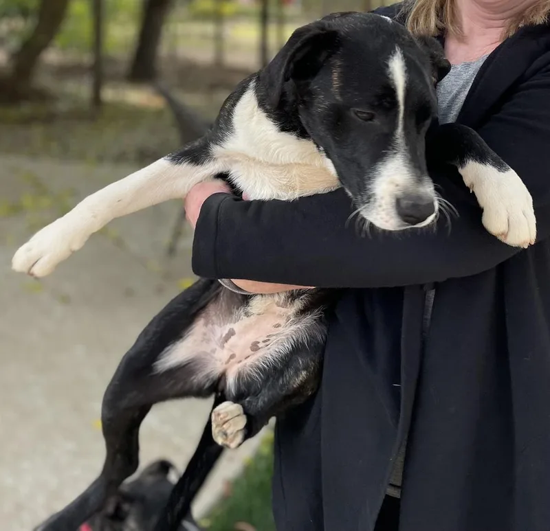 Cookiebella thumbnail 2