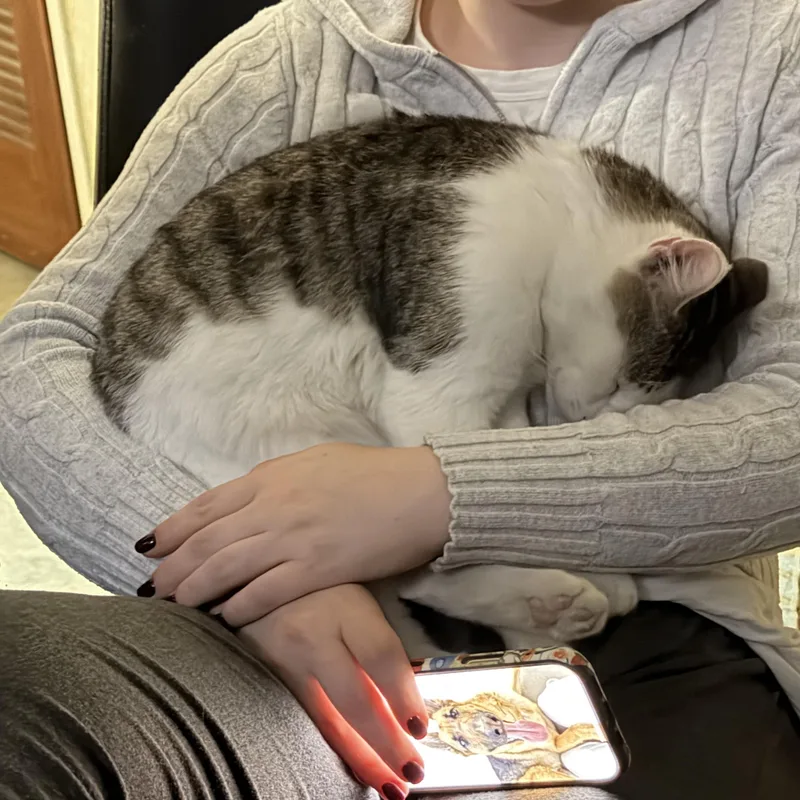 Roman world's sweetest lap thumbnail 3