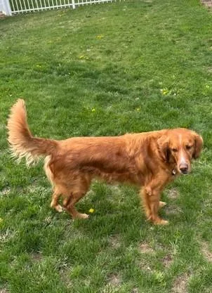 Bernie And Maverick thumbnail 3