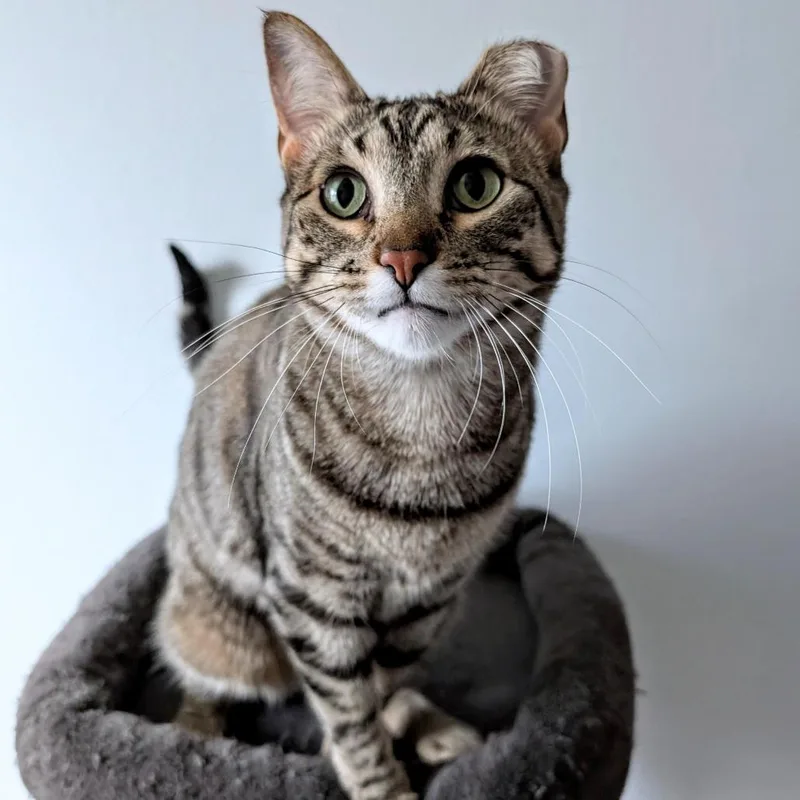 Bibi  Bonded To thumbnail 5