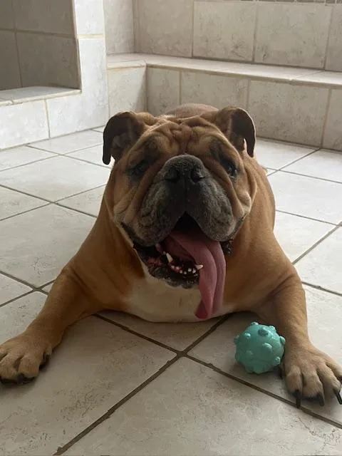 Ellie Fka Candi thumbnail 2