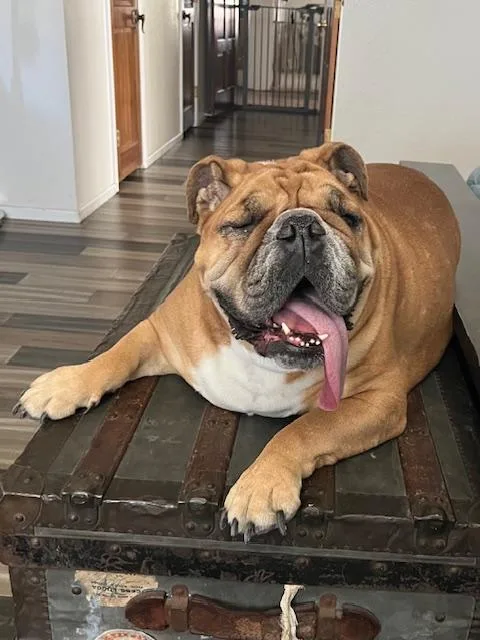 Ellie Fka Candi thumbnail 3