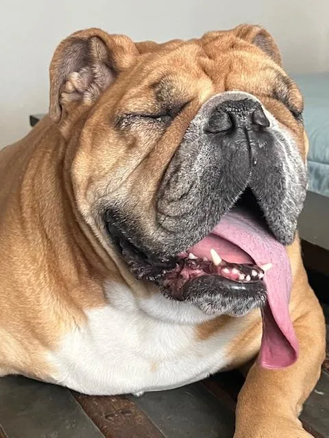 Ellie Fka Candi thumbnail 4