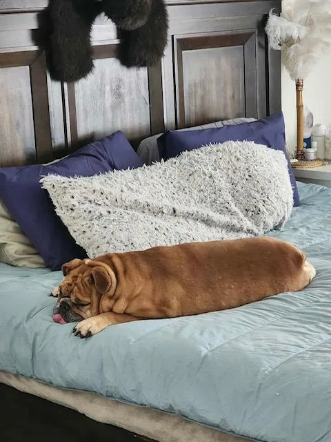 Ellie Fka Candi thumbnail 5