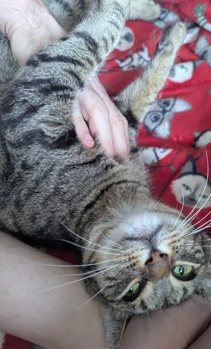Ethel thumbnail 2