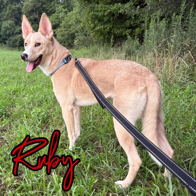 Ruby