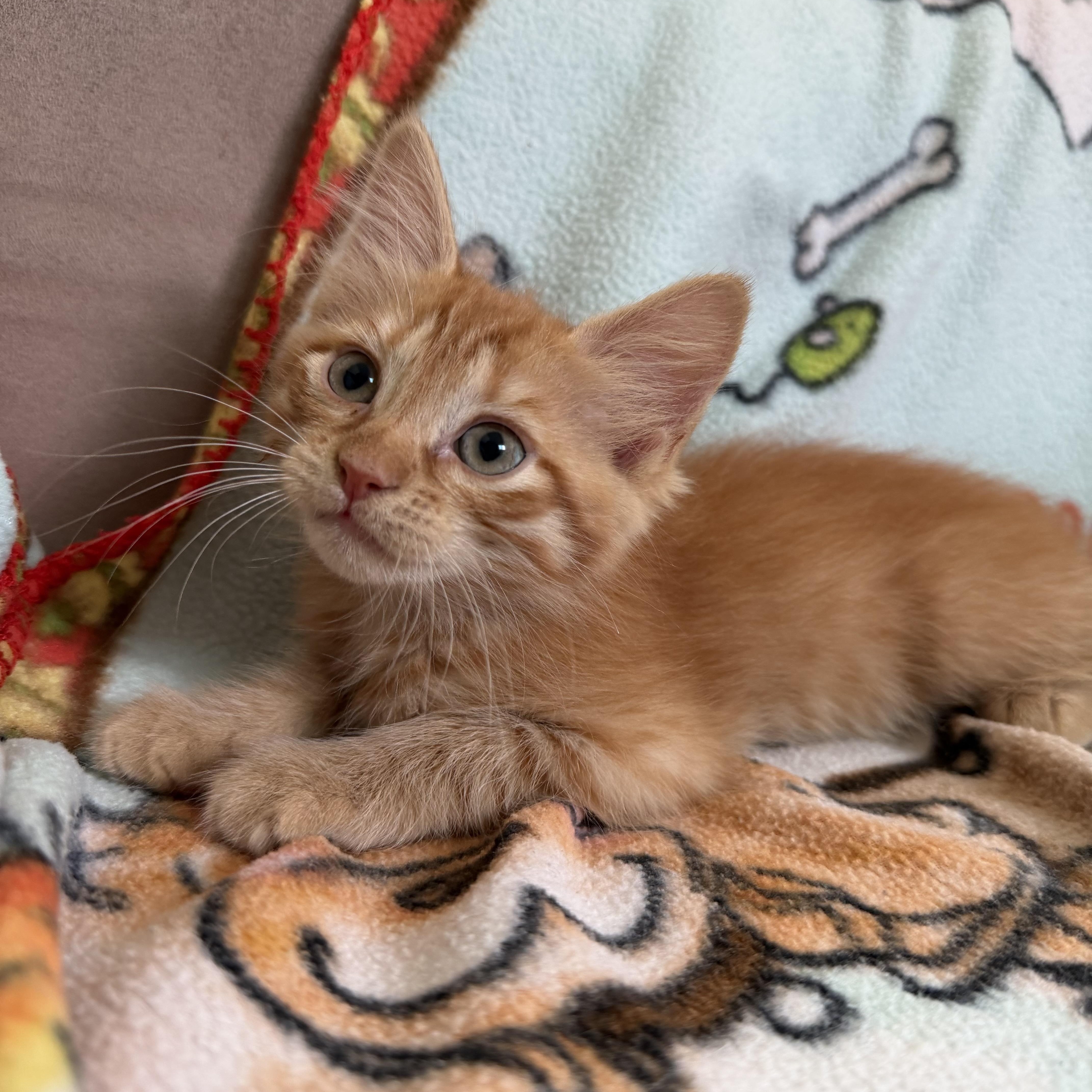 Riesling thumbnail 2