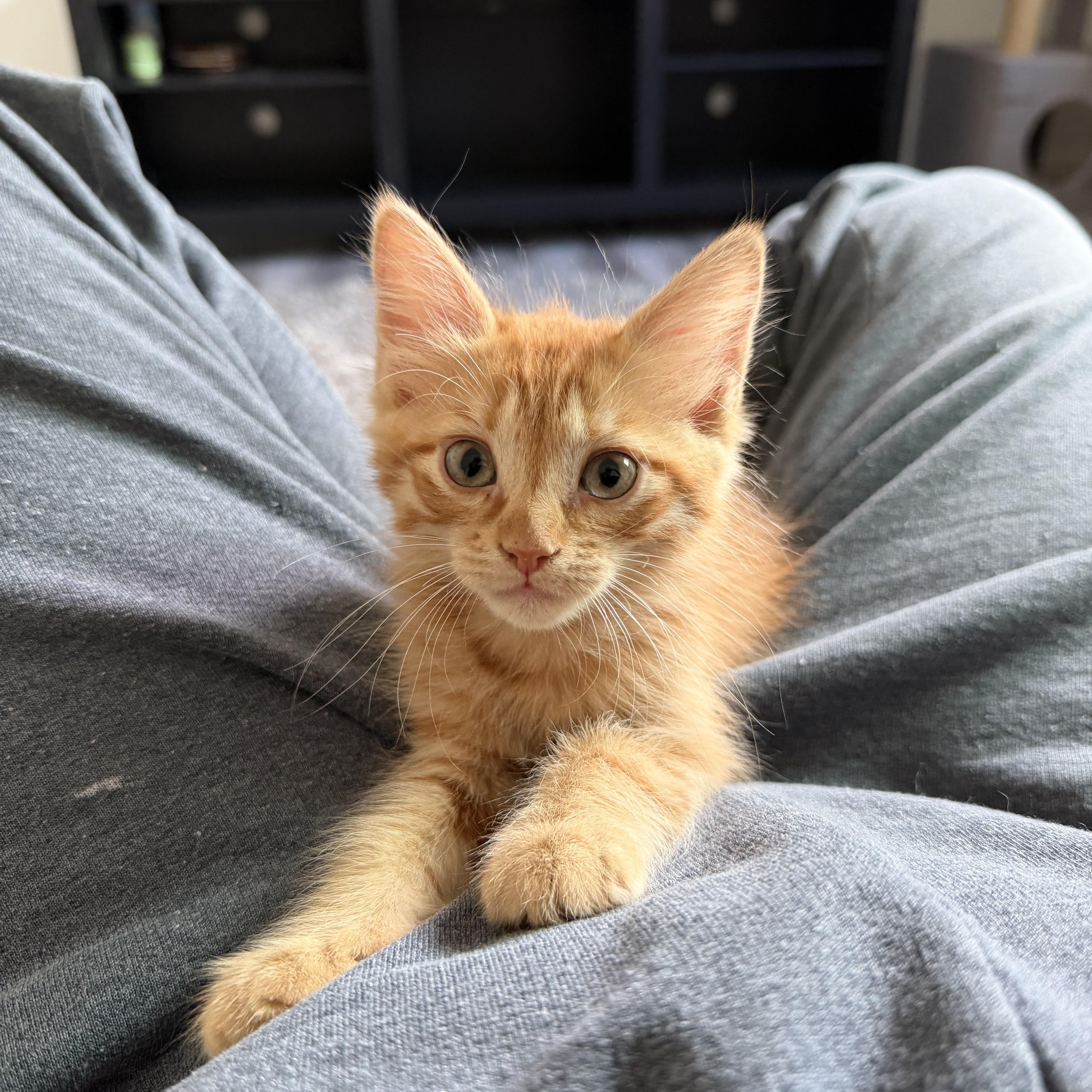 Riesling thumbnail 5